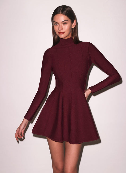 Long Sleeve Flared Corset Dress